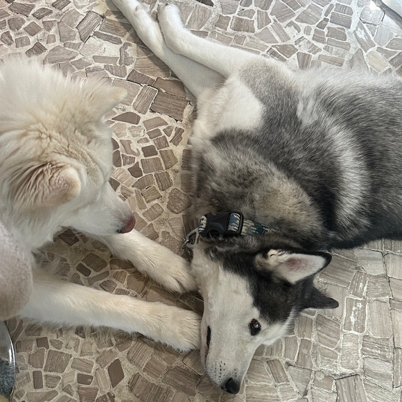 Meet your Posher, Angela - Picture 1 of 1